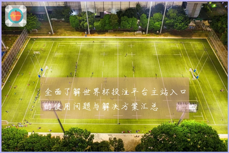 全面了解世界杯投注平台主站入口的使用问题与解决方案汇总