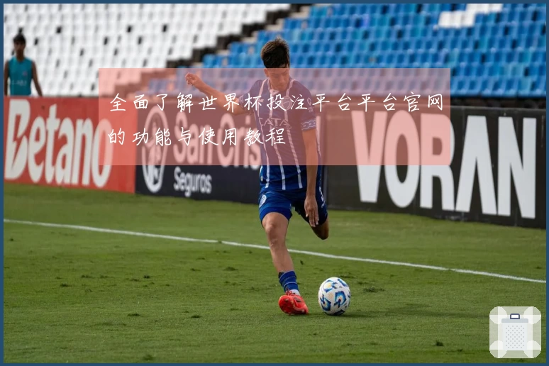全面了解世界杯投注平台平台官网的功能与使用教程