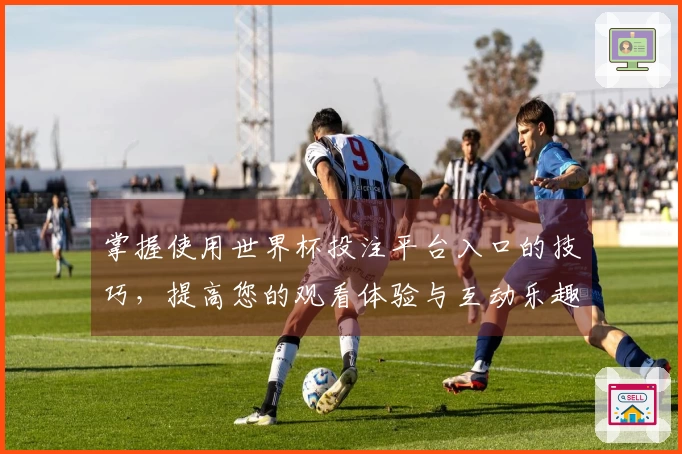 掌握使用世界杯投注平台入口的技巧，提高您的观看体验与互动乐趣