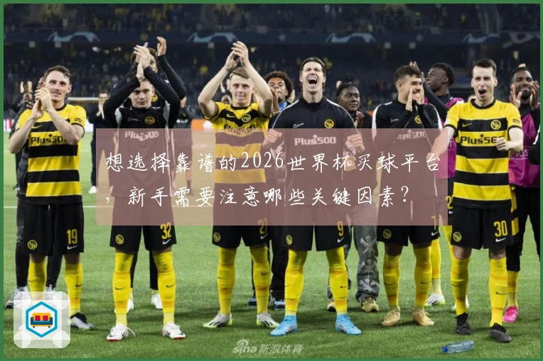 想选择靠谱的2026世界杯买球平台，新手需要注意哪些关键因素？