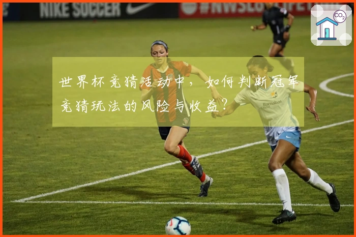 世界杯竞猜活动中，如何判断冠军竞猜玩法的风险与收益？