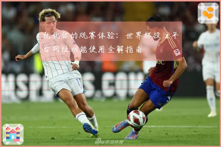 优化你的观赛体验:世界杯投注平台网址功能使用全解指南