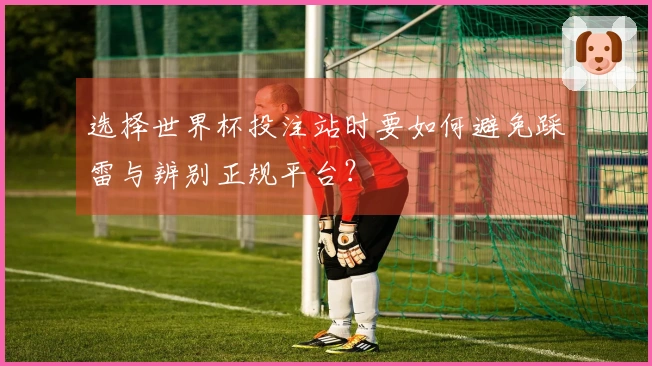 选择世界杯投注站时要如何避免踩雷与辨别正规平台？