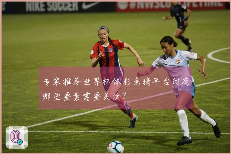 专家推荐世界杯体彩竞猜平台时有哪些要素需要关注？
