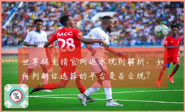 世界杯竞猜官网返水规则解析，如何判断你选择的平台是否合规？