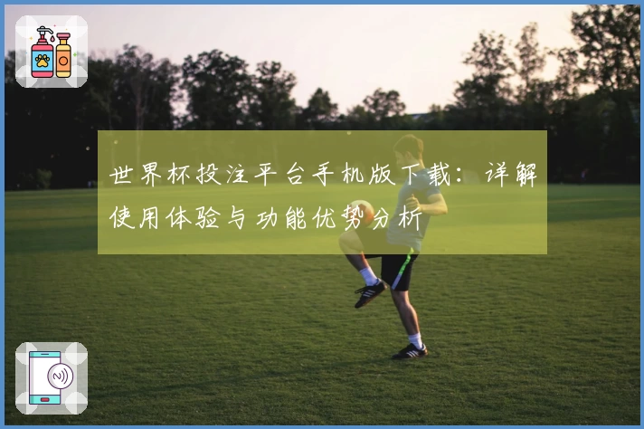 世界杯投注平台手机版下载：详解使用体验与功能优势分析