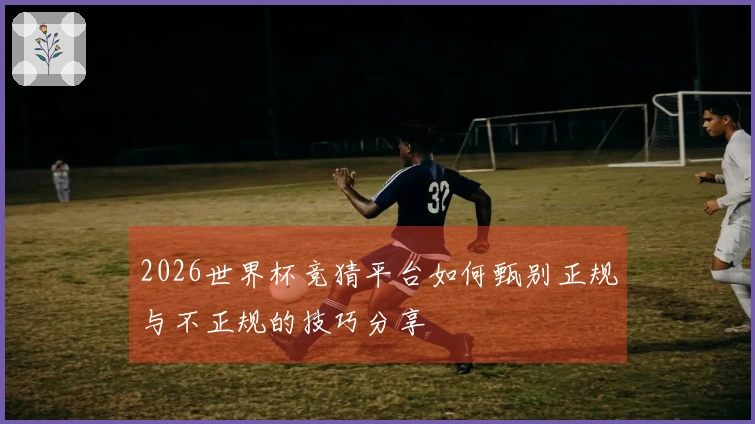 2026世界杯竞猜平台如何甄别正规与不正规的技巧分享
