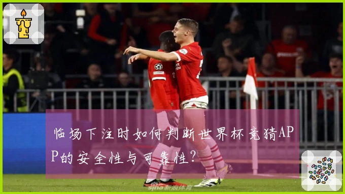 临场下注时如何判断世界杯竞猜APP的安全性与可靠性？
