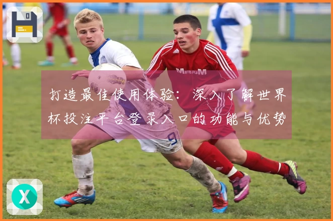 打造最佳使用体验：深入了解世界杯投注平台登录入口的功能与优势
