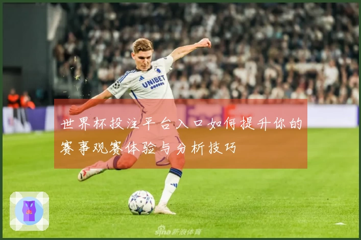 世界杯投注平台入口如何提升你的赛事观赛体验与分析技巧