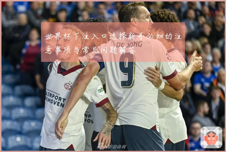 世界杯下注入口选择新手必知的注意事项与常见问题解答
