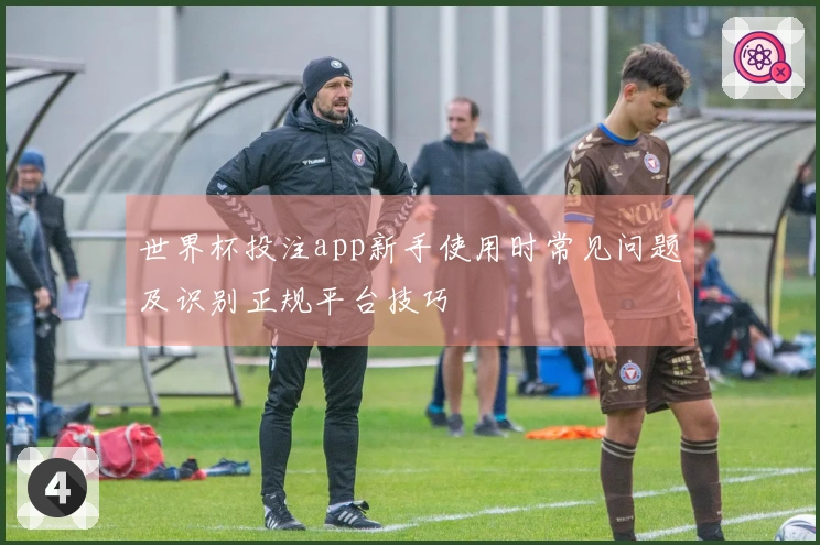 世界杯投注app新手使用时常见问题及识别正规平台技巧