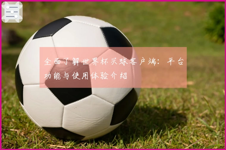 全面了解世界杯买球客户端：平台功能与使用体验介绍